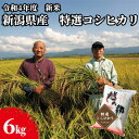 【ふるさと納税】新潟県産 コシヒカリ 6kg 米 精米 白米 こめ コメ お米 おこめ こしひかり 新潟 新潟県　【 新潟市 】　お届け：2023年10月中旬～2024年7月中旬