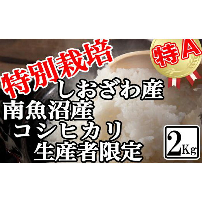 【ふるさと納税】【令和7年産】米 コシヒカリ 南魚沼しおざわ産 2kg 特別栽培【2025年10月上旬より順次発送予定】 | お米 こめ 白米 コシヒカリ 食品 人気 おすすめ 送料無料 魚沼 南魚沼 南魚沼市 新潟県産 新潟県