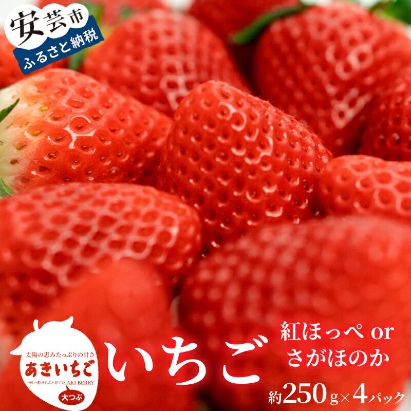 【ふるさと納税】【先行予約】 いちご 紅ほっぺ さがほのか 約 1kg ( 約 250g × 4パック ) 【2025年12月～発送予定】 果物 フルーツ イチゴ 苺 小分け パック 期間限定 季節限定 数量限定 旬 高知県産 高知県安芸市
