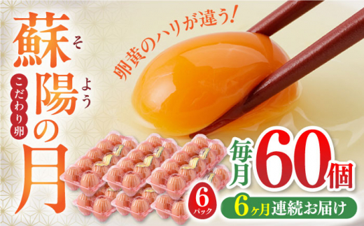 
【全6回定期便】蘇陽の月 60個入り ( 10個入り × 6パック ) 熊本県産 山都町 たまご 卵 玉子 タマゴ 鶏卵 オムレツ 卵かけご飯 朝食 料理 人気 卵焼き【蘇陽農場】[YBE023]
