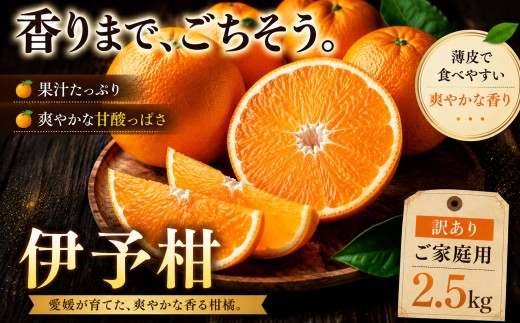 ＜香り立つ果実 愛媛県産伊予柑 合計約2.5kg＞『2027年1月上旬～2月下旬迄に順次出荷予定』 訳あり あまい 爽やかな香り ミカン 蜜柑 ご家庭用 果汁 果物 くだもの フルーツ オレンジ 柑橘 特産品 極尽道 愛媛県 西予市 【常温】
