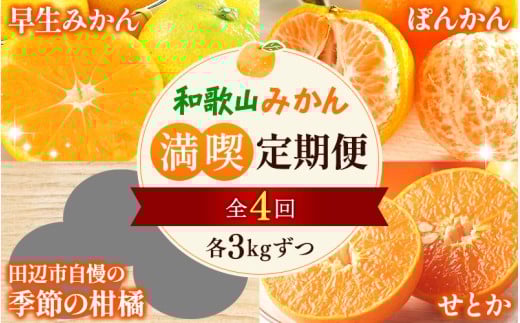 【全4回定期便】和歌山みかん満喫定期便 （早生みかん・ぽんかん・季節のお任せ柑橘・せとか各3kgずつ） ※2025年12月より4回お届け / みかん 定期便 柑橘 せとか フルーツ 早生みかん ミカン 和歌山 果物 田辺市 くだもの【tcs022-tk】