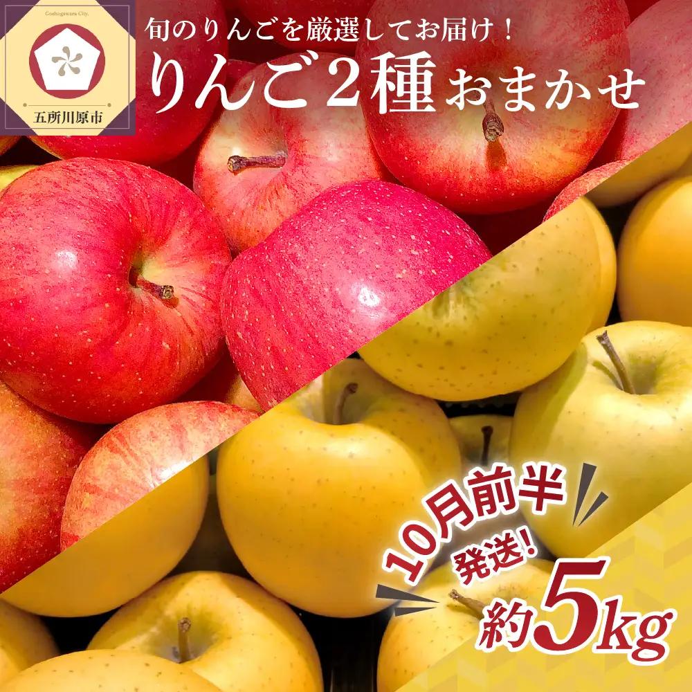 【2026年10月前半発送】りんご 約5kg 2品種おまかせ ≪特選～特秀≫ 青森県産 贈答用りんご