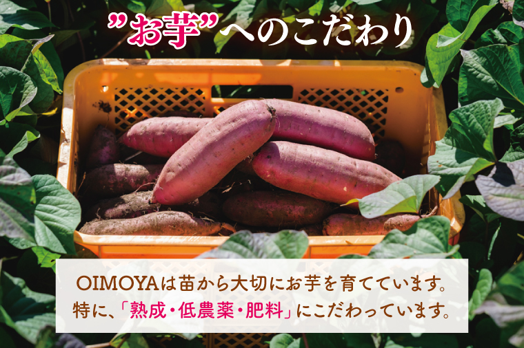 冷凍 壺焼き芋 3種食べ比べ3kg（500g×6）（1㎏ずつ3品種）【さつまいも 芋 いも  焼き芋 焼芋 やきいも 紅はるか 茨城県 水戸市 水戸 15000円以内】（IN-16)