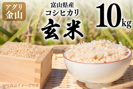 米 令和7年 コシヒカリ 玄米 10kg [アグリ金山 富山県 朝日町 34310565]