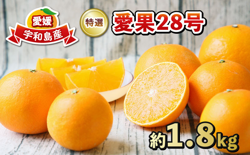 
            贈答用 愛果28号 1.8kg 特選 フレッシュつちやま 先行予約 贈答品 ギフト プレゼント 高級 愛媛県産 限定 品種 果物 くだもの フルーツ 柑橘 みかん 愛媛みかん 愛媛ミカン 愛媛蜜柑 mikan 産地直送 数量限定 国産 愛媛 宇和島 B015-096012
          