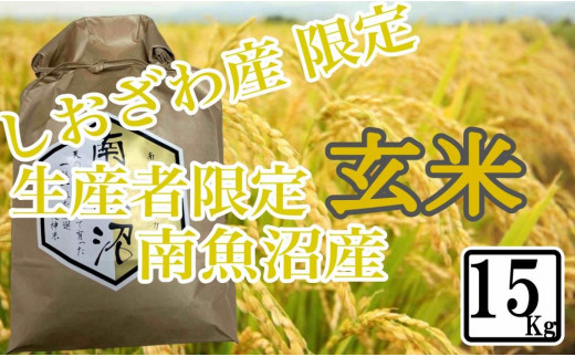 
            【令和7年産】【15kg】玄米 しおざわ産限定 生産者限定 南魚沼産コシヒカリ【2025年10月上旬より順次発送予定】
          