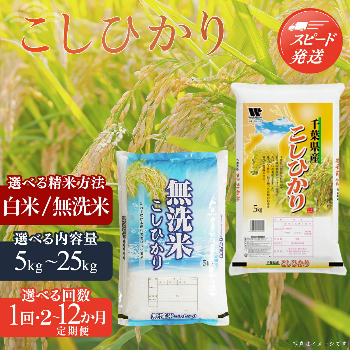 【ふるさと納税】【最短2～7営業日出荷】令和7年産 千葉県産「コシヒカリ」選べる精米方法・容量・回数（ 白米 無洗米 / 5kg 10kg / 1回 2回 3回 4回 5回 6回 7回 12回 ）お米 千葉県産 大網白里市 米 精米 こめ 白米 ご飯 千葉県産米