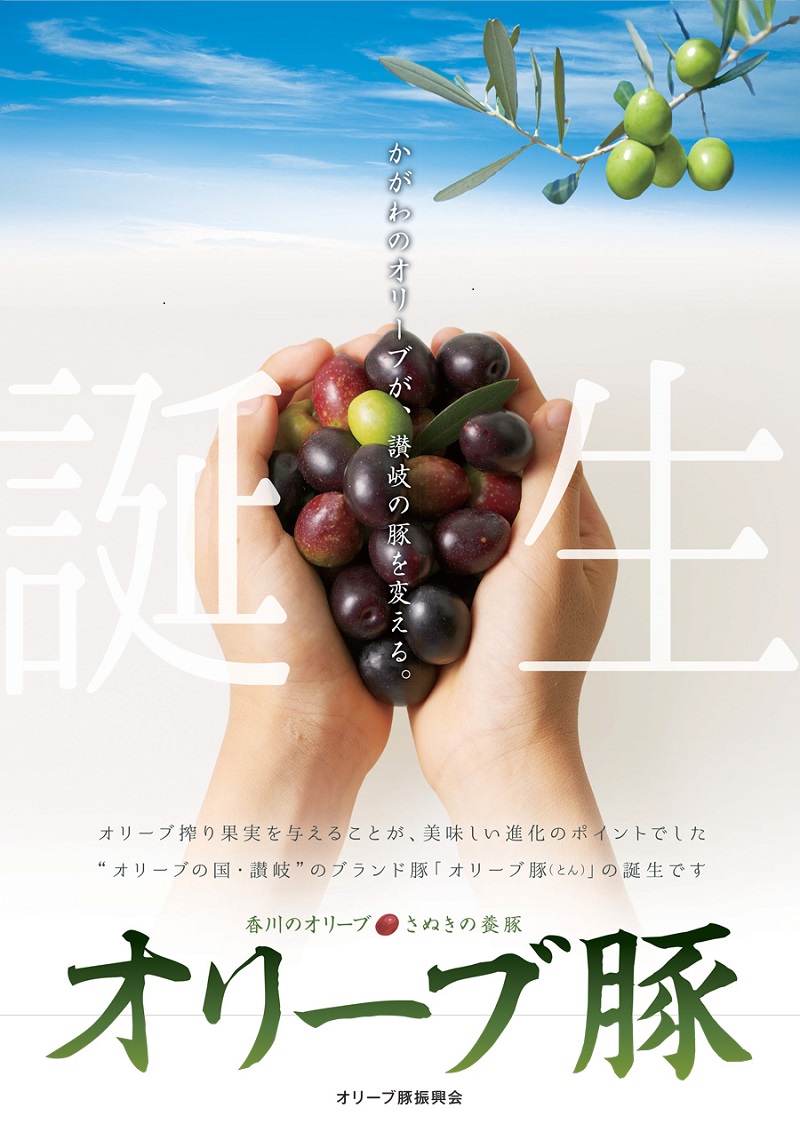 「生活応援」オリーブ豚　ロースブロック1.5kg_M04-0126