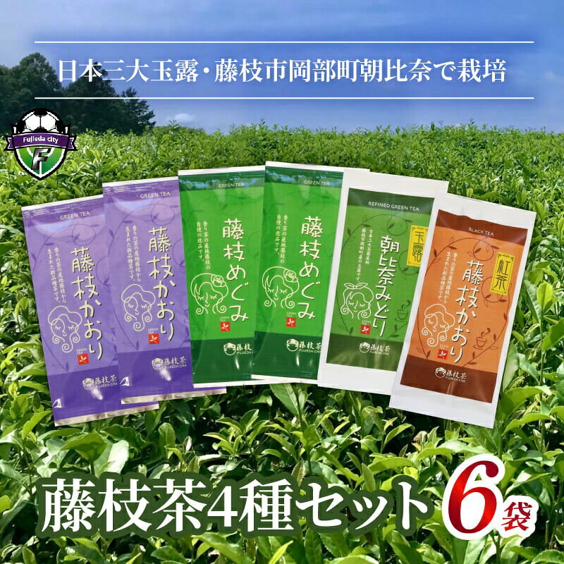 【ふるさと納税】 お茶 詰合せ 4種 6袋 セット 緑茶 煎茶 紅茶 玉露 藤枝茶 藤枝かおり 藤枝めぐみ 日本茶 和紅茶 詰め合わせ 静岡茶 飲料 茶葉 飲み比べ 静岡県 藤枝市