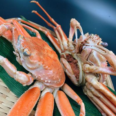 ふるさと納税 宮津市 セコガニ　茹で　小サイズ　訳アリ　5杯