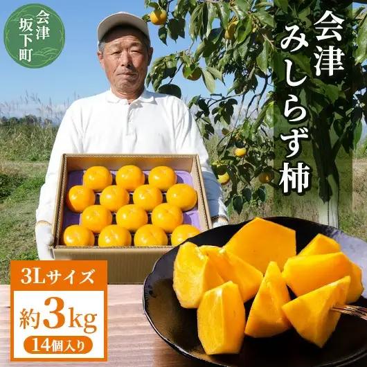 23-B 柿 会津みしらず柿 3Lサイズ 14個入り 約3kg ※2026年11月～発送