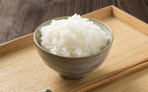 令和7年産 茨城県産コシヒカリ20kg（10kg×2） ／ お米 精米 こしひかり 旨味 安心 美味しい JA茨城むつみ 茨城県 五霞町【価格改定】