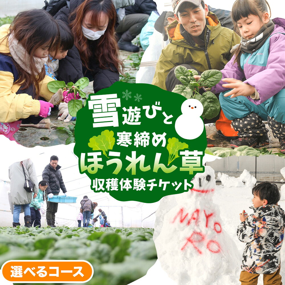 【ふるさと納税】雪遊びと寒締めホウレンソウ収穫体験 選べるコース 収穫コース 収穫ランチコース 小学生以上 2名様〜 NPO法人なよろ観光まちづくり協会《30日以内に出荷予定(土日祝除く)》北海道 名寄市 ほうれん草 収穫 体験 チケット 券 星空雪見法蓮草