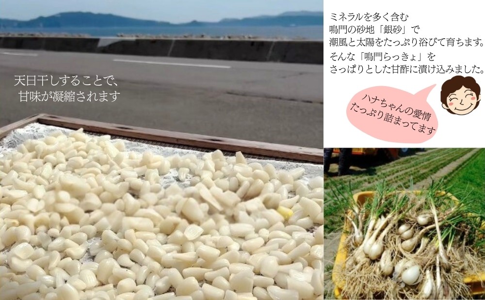 ※お届けの箱が変更しております。予めご了承ください。