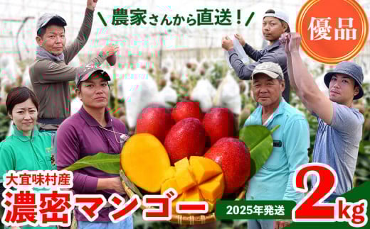【2025年発送】濃密マンゴー《優品・2kg以上》大宜味村農家さんから直送！ 優品 先行予約 沖縄 甘味 糖度 濃厚 おいしい お土産 まんごー アーウィン 果物 くだもの 果実 送料無料 ふるさと納税 ２キロ トロピカル 化粧箱入り 食べ物 フルーツ