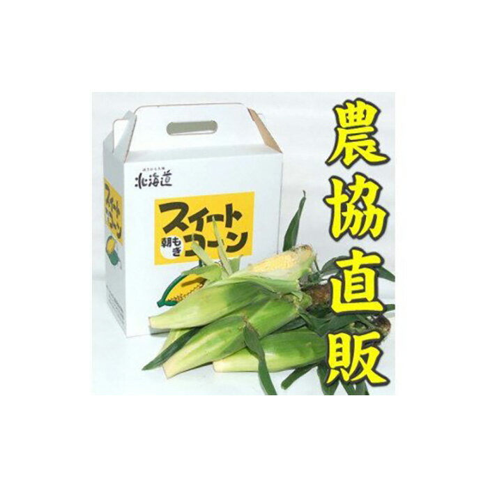 【ふるさと納税】寄附額改定↓【令和7年度出荷先行予約！】北海道岩見沢市産とうもろこし2Lサイズ24本【11112】