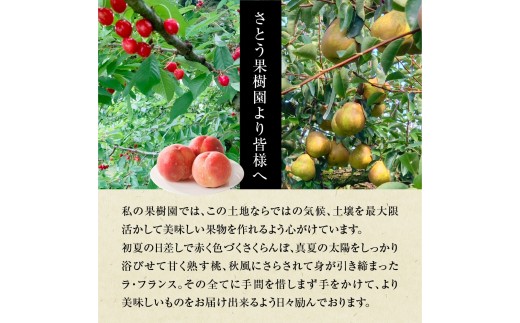 【２０２７年１月発送】西洋梨（ラ・フランス）３ｋｇ　ご家庭用　0136-2603