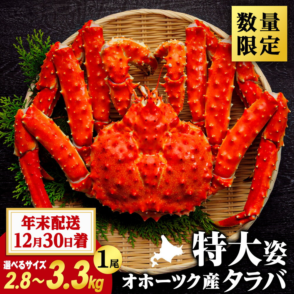 【ふるさと納税】【楽天限定】【数量限定】【12月30日着】☆北海道産 冷凍ボイル本タラバ姿 選べる2.8~3.3kgかに カニ 蟹 ボイル タラバ 冷凍 北海道産 浜頓別町 北海道ふるさと納税 ふるさと納税 北海道 浜頓別 通販 贈答品 贈り物