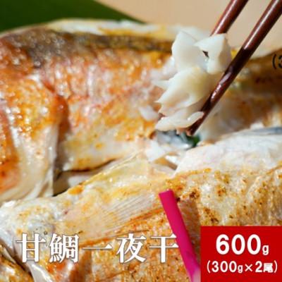 ふるさと納税 大田市 旬獲れの甘鯛使用!　大ぶり甘鯛一夜干　300g×2尾　(B180)