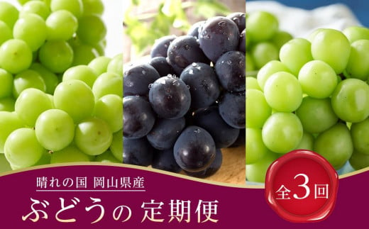 ぶどう 2025年先行予約【全3回コース】晴れの国岡山 ぶどうの定期便