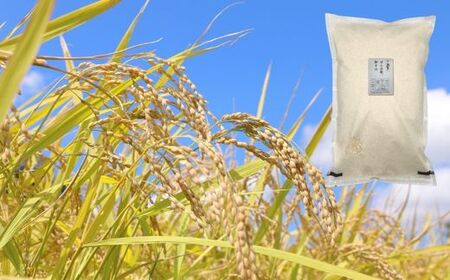 神代米 ( 粒すけ ) 精白米 5kg / 米 お米 こめ コメ