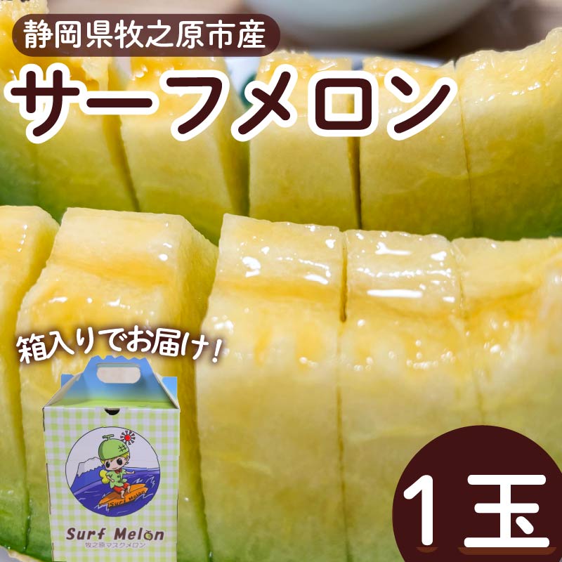 【ふるさと納税】 メロン サーフメロン 1玉 マスクメロン フルーツ 果物 高級 ギフト プレゼント 贈答 おいしい ハウス栽培 甘い ジューシー ケーティー 静岡県 牧之原市
