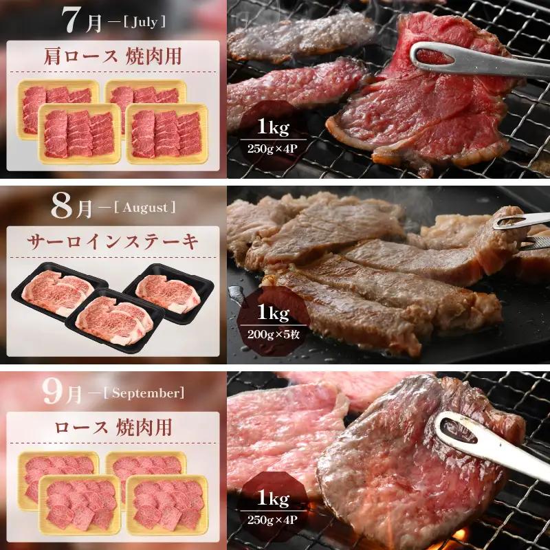 【定期便12ヶ月】 肉好き満足！和牛 若狭牛ボリューム満点 厳選 食べ比べ計14.6kg以上 [e02-r001]