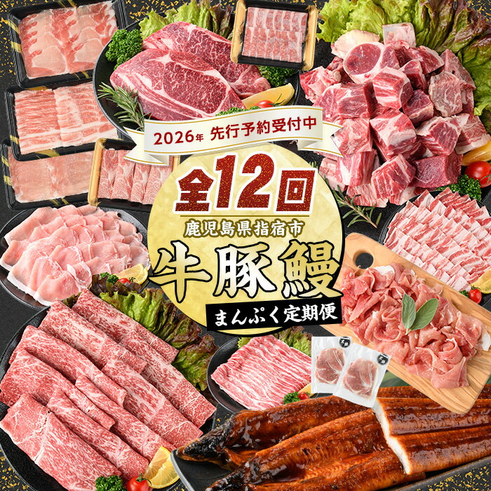 【ふるさと納税】【2026年発送 先行予約】＜定期便！全12回(連続)＞鹿児島自慢の豚・牛・うなぎ！まんぷく定期便！ 牛肉 黒毛和牛 和牛 国産牛 豚肉 黒豚 ロースステーキ すき焼き しょうが焼き 薄切り スライス 生ハム 鰻 うなぎ ウナギ 【水迫畜産】