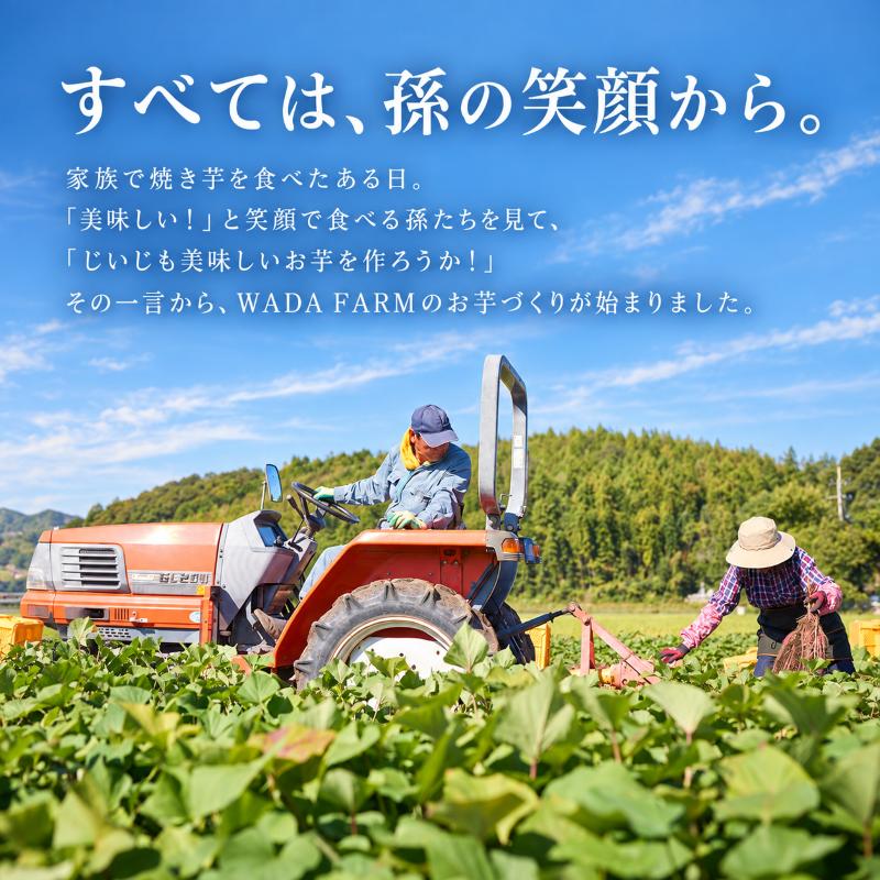 【 冬季 限定 】 【 先行予約 】 【 訳あり 】 高知県産 土付き 熟成紅はるか 極蜜芋 5kg ｜ 紅はるか さつまいも 生芋 熟成芋 高知 焼き芋 やきいも おやつ 農家直送 産地直送 WAD