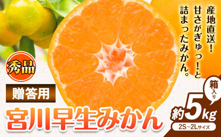 【先行予約】秀品 贈答用 宮川 早生 みかん 約 5kg (2S～2Lサイズ) みかん