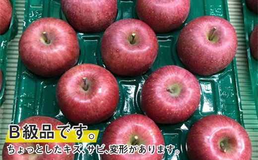 【令和6年産先行予約】 〈訳あり品 家庭用〉 りんご 「サンふじ」 約10kg (24～36玉) バラ詰め 《令和6年11月中旬～12月上旬発送》 『マルタニ農園』 リンゴ 山形県 南陽市 [1916