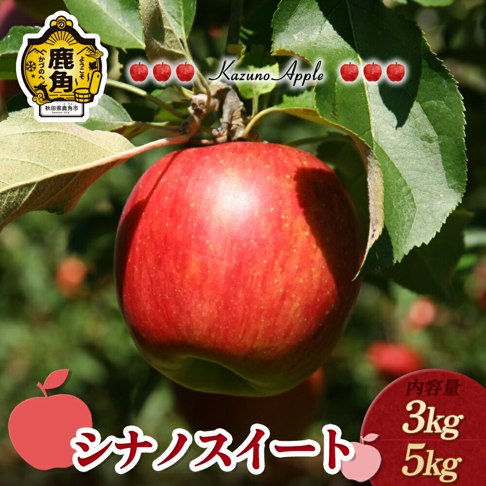 【ふるさと納税】《 先行予約 》 りんご 鹿角りんご 「 シナノスイート 」 選べる 3kg ／ 5kg リンゴ 林檎 贈答用 果汁 完熟 旬 県産りんご お中元 お歳暮 贈り物 お見舞い グルメ ギフト 故郷 秋田 あきた 鹿角市 鹿角 送料無料 【佐藤秀果園】