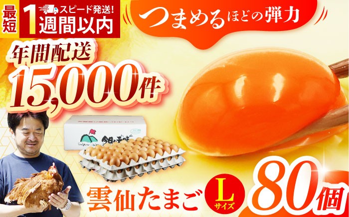 
                  雲仙たまご Lサイズ80個(75個＋割れ補償5個入り) 長崎県/塚ちゃん雲仙たまご村 [42ACAE003] 卵 玉子 タマゴ 鶏卵 長崎 島原 九州 スピード 発送 配送 最速 最短 すぐ届く すぐ発送
                