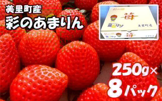 美里町産いちご8P【彩のあまりん】（250g以上×8パック） ／ 苺 イチゴ あまりん 果物 フルーツ 新鮮 旬 新品種 甘い 甘み 好評 人気 デザート 産地直送 埼玉県 特産品 [No.218]