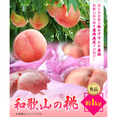 和歌山県産桃（もも）約1kg 秀品 前商店《6月中旬-7月中旬頃出荷》 和歌山県 紀の川市