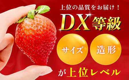 【3回定期便】博多あまおう 2ケース　広川町 / JAふくおか八女農産物直売所どろや[AFAB081]