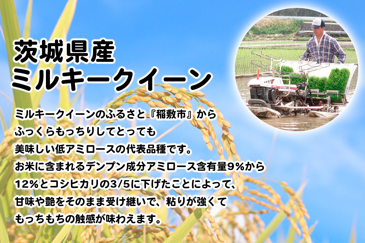 新米【定期便／3ヶ月 令和7年産】茨城県産 にじのきらめき 白米 計15kg (5kg×1袋×3ヶ月)｜お米 おこめ 精米 直送 産直 稲敷 茨城 [1824]