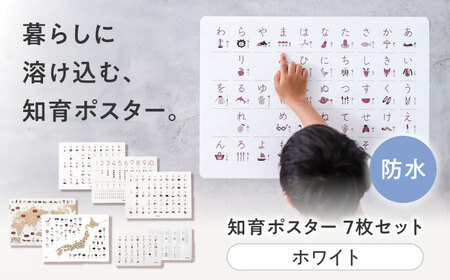 知育 知育ポスターホワイト 7枚セット 日本地図 世界地図 知育 教育 BJBA003