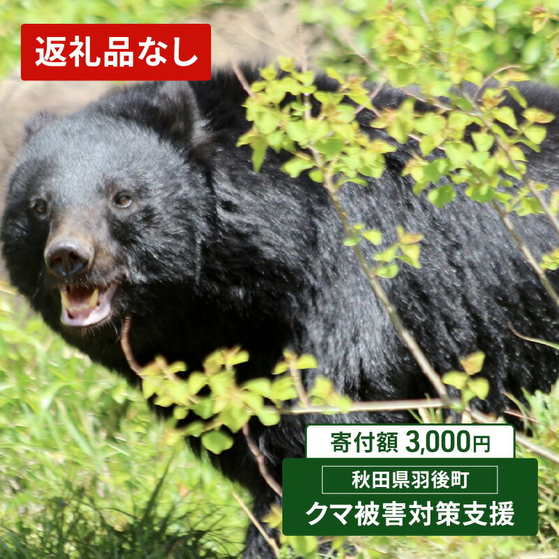 【ふるさと納税】【返礼品なし】クマ被害対策支援（秋田県羽後町）3000円 応援 支援 寄附のみ【羽後町ふるさと納税】