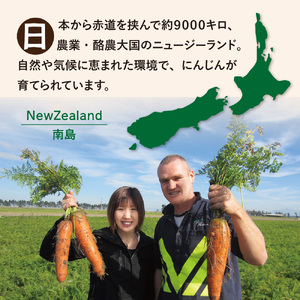 [定期便／3ヶ月] 砂糖不使用 順造選 人参りんご 195g×15本｜無添加 無塩 健康 にんじん リンゴ ジュース ドリンク カロテン 長期保存 [0459]