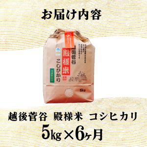 【定期便】令和7年産 新潟県産 越後菅谷殿様米 5㎏ 6ヵ月 30kg 玄米 新潟県 新潟産 新発田産 米 コシヒカリ 特別栽培米 越後菅谷米販売 5kg 6ヵ月 定期便 殿様 数量限定  D16_0