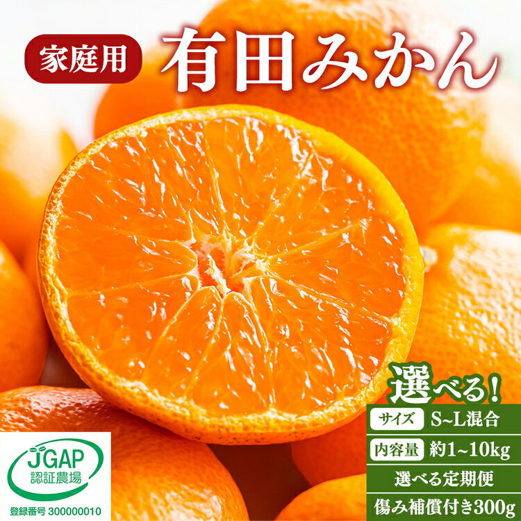 【ふるさと納税】【選べる 内容量・発送時期・定期便】【先行予約】有田みかん 家庭用 約1kg～10kg S～Lサイズ混合 傷み補償300g付 ｜ フルーツ 果物 ミカン 蜜柑 柑橘 温州みかん 訳あり わけあり 傷 不揃い 甘い 果汁 ジューシー 手選別 食べやすい 和歌山 美浜町