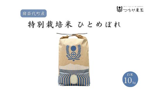 【令和6年産】猪苗代町産 特別栽培米ひとめぼれ 10kg（精米）