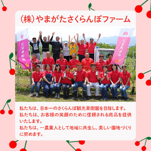 くだもの の 花 から 採れた はちみつ 国産 100％ 蜂蜜  07-03-066