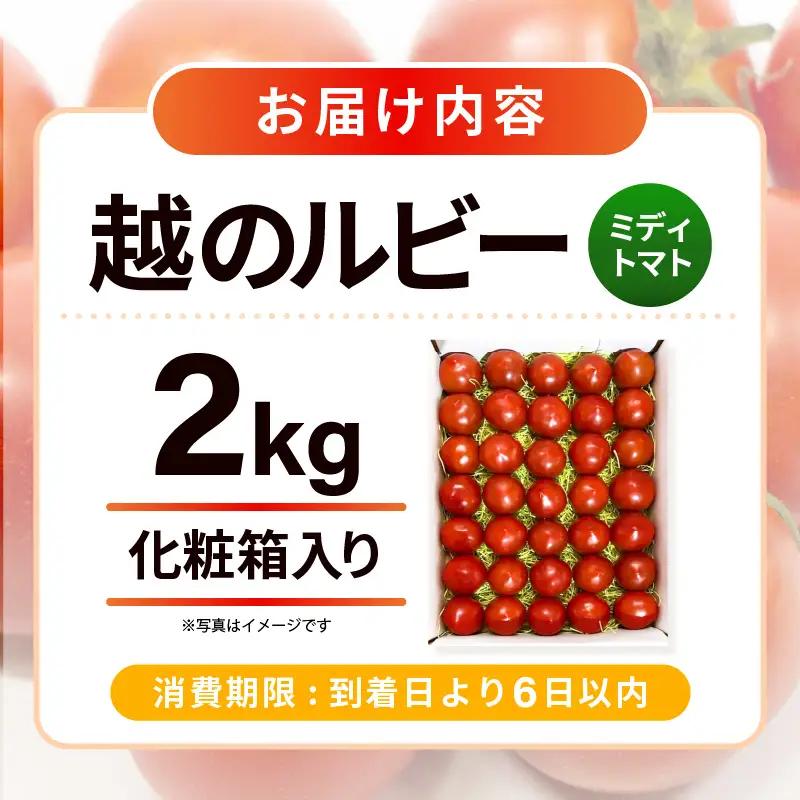 フルーツトマト 越のルビー 2kg 化粧箱入り 2026年10月上旬以降順次発送 とまと 野菜 [A-19103]