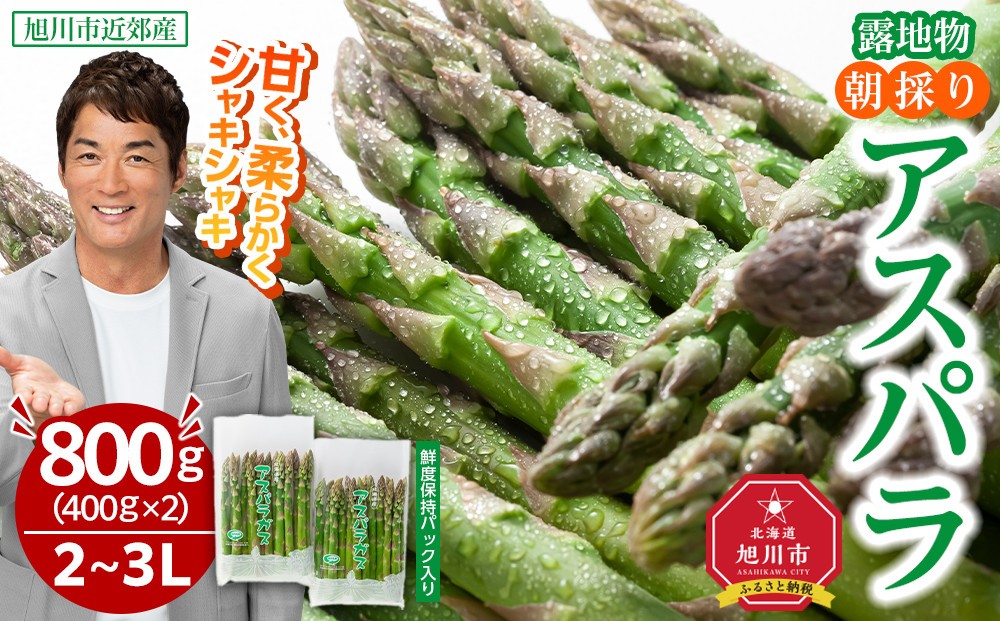 
            【2026年先行予約】露地物朝採りアスパラ 2L～3Lサイズ800g（400g×2）鮮度保持フィルム入り(5月中旬発送開始予定) 【 アスパラ アスパラガス 朝採り とれたて 野菜 旬 小分け 保存 産直 産地直送 お取り寄せ 旭川市 北海道 】_01593
          