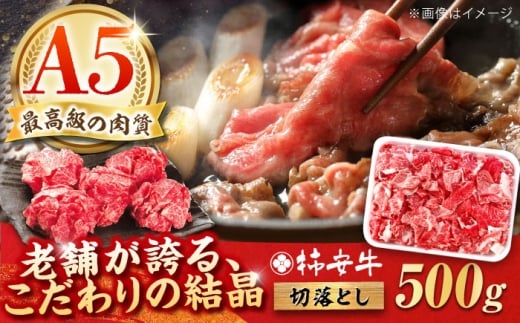 【2025年11月発送】最高級A5等級 柿安牛 牛肉 切り落とし 500g 三重県産 黒毛和牛 / 人気 a5 肉 切り落とし 国産 おすすめ 牛肉 冷蔵 国産牛肉 和牛 牛肉切り落とし 切り落とし肉 牛肉 冷蔵 カレー すき焼き 牛丼 肉じゃが プルコギ しゃぶしゃぶ /　三重県 / 亀山市 / 柿安本店 [AMBW001-11]