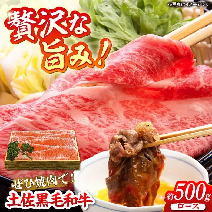 土佐黒毛和牛 ロース すき焼き用 約500g / とろけるやわらかさ 和牛 高知県産 国産和牛 牛肉 黒毛和種  【有限会社　蔵多堂】 [ATAE005]