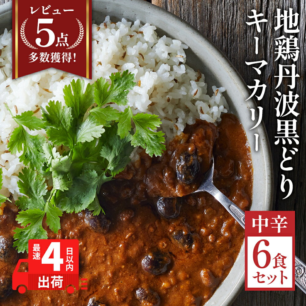 【ふるさと納税】【最短当日発送！】 キーマカレー 地鶏丹波黒どりと京都府産黒大豆のキーマカリー 6食 セット 詰め合わせ カレー レトルトカレー レトルト食品 レトルト レトルトパウチ 常温保存 防災 防災食 非常食